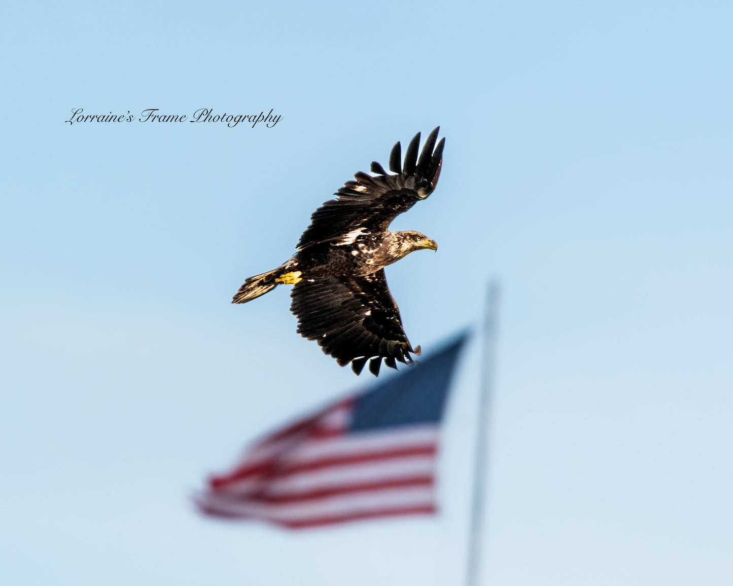 AMERICA